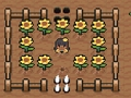 Spel Charlotte Vallei  online