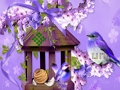 Spel Prachtige Humming Bird Land Escape  online