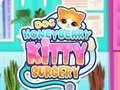 Spel Doc HoneyBerry Kitty-operatie  online