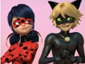 Spel Wonderbaarlijke Lieveheersbeestje & Cat Noir Legpuzzel  online