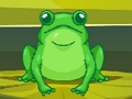 Spel Kikker Match Master  online