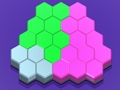 Spel Zeshoekige puzzelblokken  online