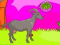 Spel Wolf ontsnapping  online