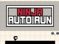 Spel Ninja Auto Run online