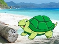 Spel Ontsnapping van strandkrabpaar  online