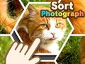Spel Sorteer foto  online