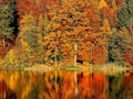 Spel Glijdende puzzel  online