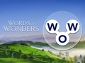 Spel Woorden van wonderen  online