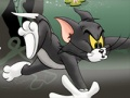 Spel Tom en Jerry Chase in Marsh  online