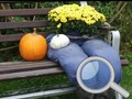 Spel Herfsttuin Zoek 100 vlinders  online