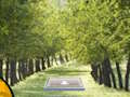 Spel Paar Cat Escape  online
