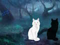 Spel Halloween: ontsnap uit het donkere land  online