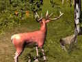 Spel Hertenjacht  online