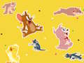 Spel De Tom en Jerry Show Vind het!  online