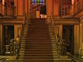 Spel Hond ver weg  online