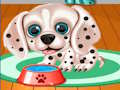 Spel Mijn puppyopvangsalon  online