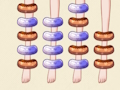 Spel Kousen dilemma  online