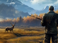 Spel Wilde jachtbotsing  online