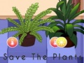 Spel Bewaar de planten  online