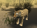 Spel Afrikaanse cheetah-jachtsimulator  online