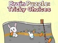 Spel Hersenpuzzel: lastige keuzes  online