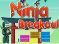 Spel Ninja-uitbraak  online