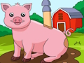 Spel Dier: Zoek de verschillen  online