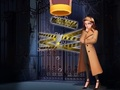 Spel Pin-detective  online