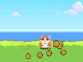 Spel Hamster Kombat-clicker  online