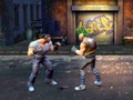 Spel Kapvechter  online