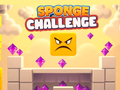 Spel Spons uitdaging  online