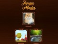 Spel Puzzelmeester  online