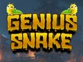 Spel Geniale slang  online