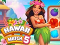 Spel Hawaï wedstrijd 5  online