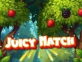 Spel Sappige wedstrijd  online