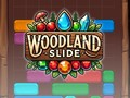 Spel Bosglijbaan  online