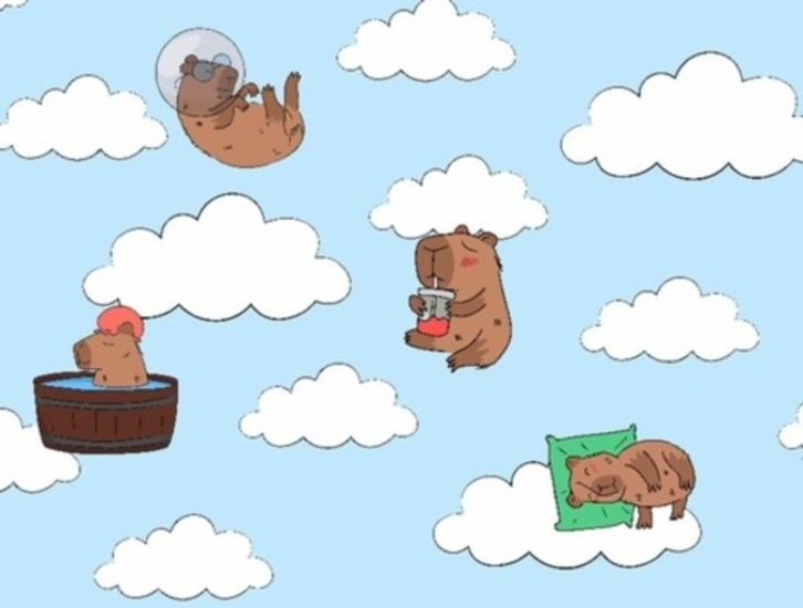 Spel 100 verborgen capibara's  online