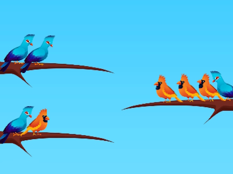 Spel Vogel soort  online