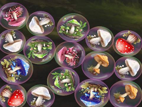 Spel Paddestoelen samenvoegen!  online