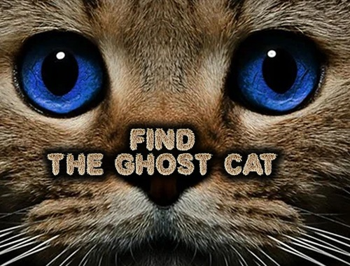 Spel Vind de spookkat  online