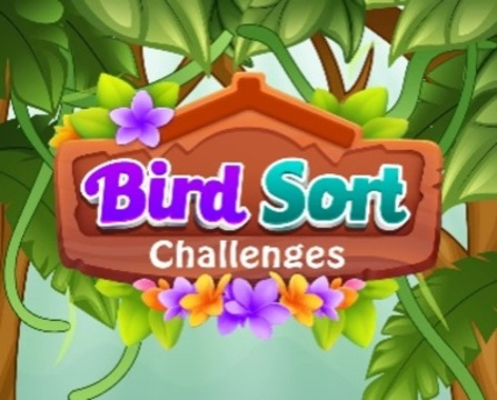 Spel Vogel sorteren uitdagingen  online