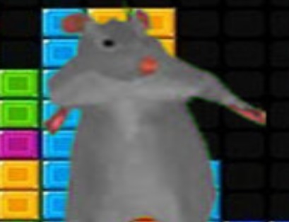 Spel Ratomilton dalende blokken  online