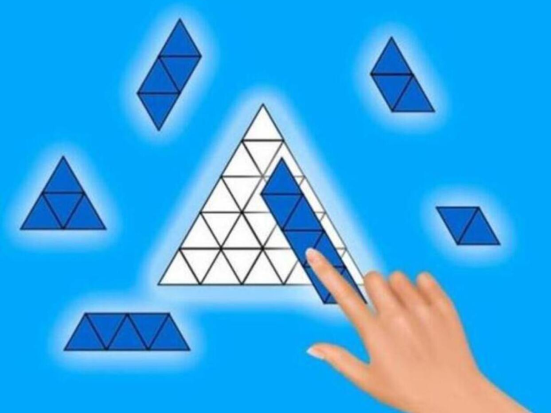 Spel Puzzelblokken: vul het volledig in  online