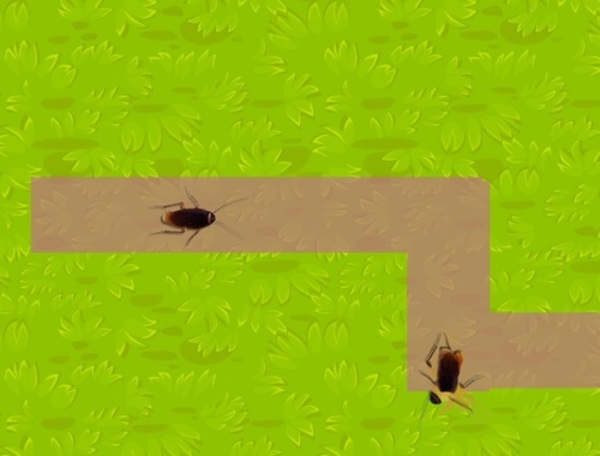 Spel Insectenbreker  online