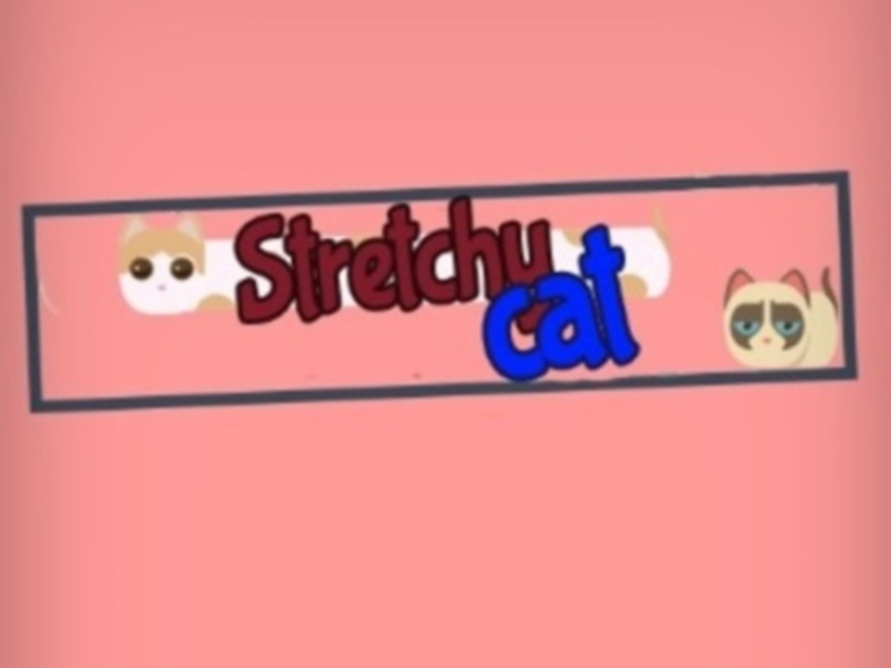 Spel Rekbare kat  online
