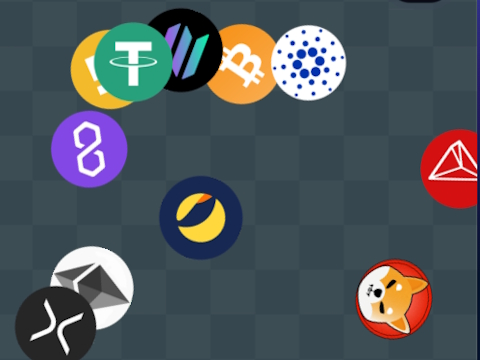 Spel Crypto Detective Finder  online