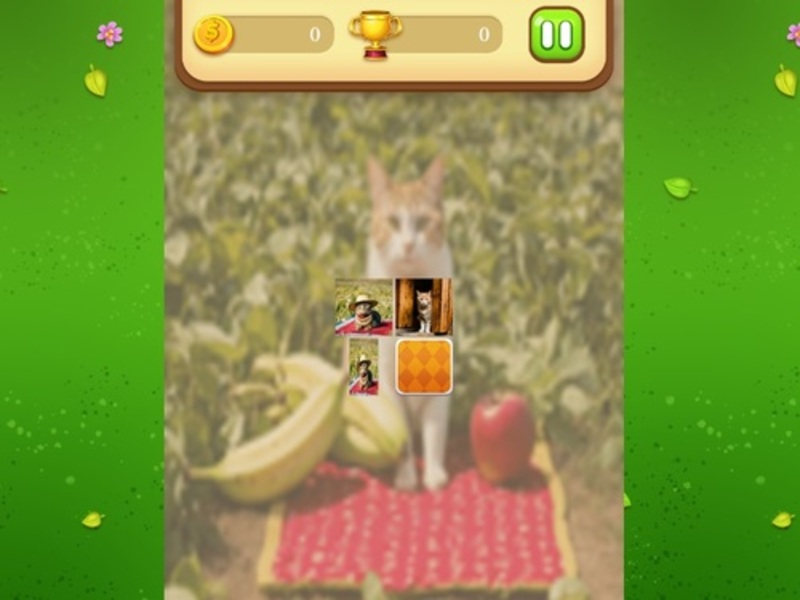 Spel Boerderij kattengeheugen match online