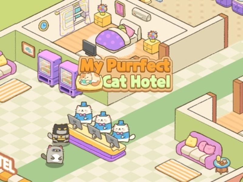 Spel Mijn purrfect kattenhotel online