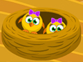 Spel Bewaar de kip online