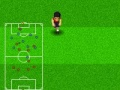 Spel Wereldbeker voetbal 2010 online